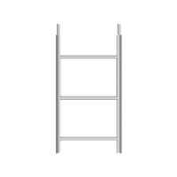 Ring Lock System Scaffolding 10' Ladder